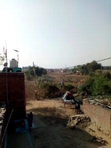 MP By Election Voting