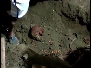 Bhopal Double Murder